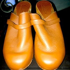 Wooden clogs